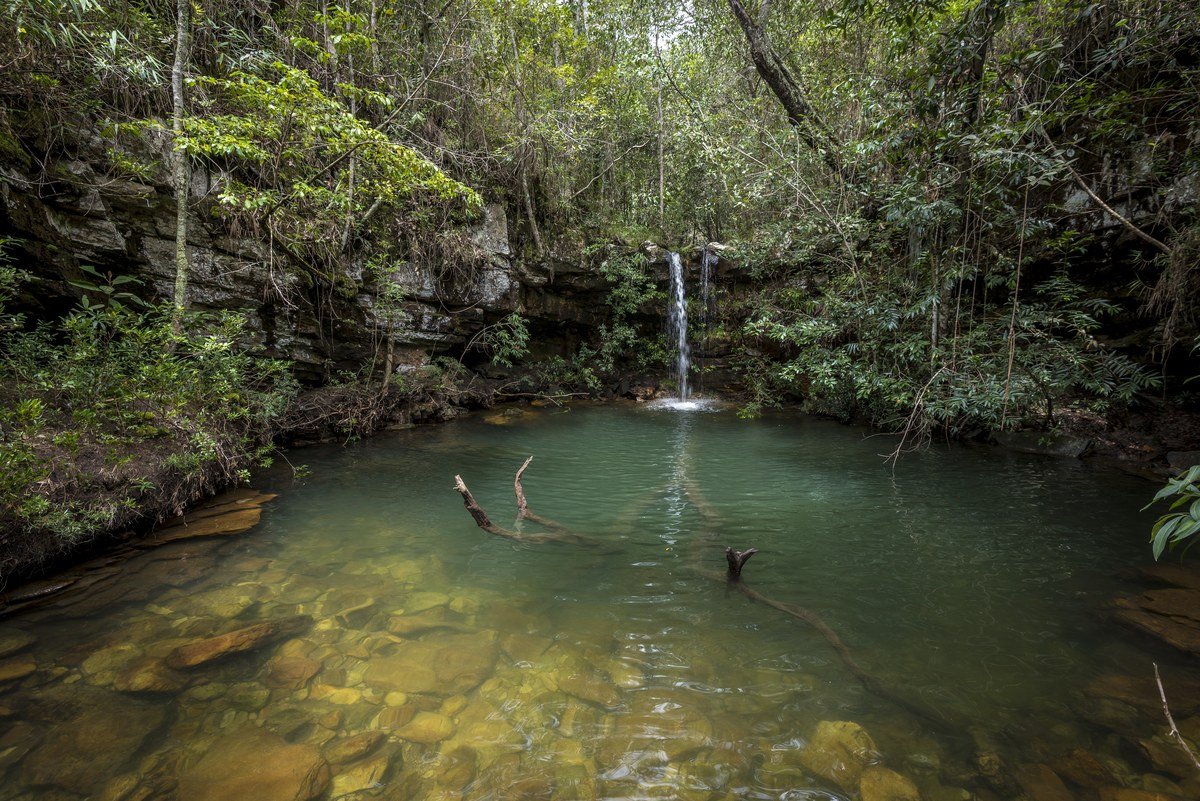 Cachoeira Loquinhas em Alto Paraíso: Poços Esmeralda e Passarelas de Madeira