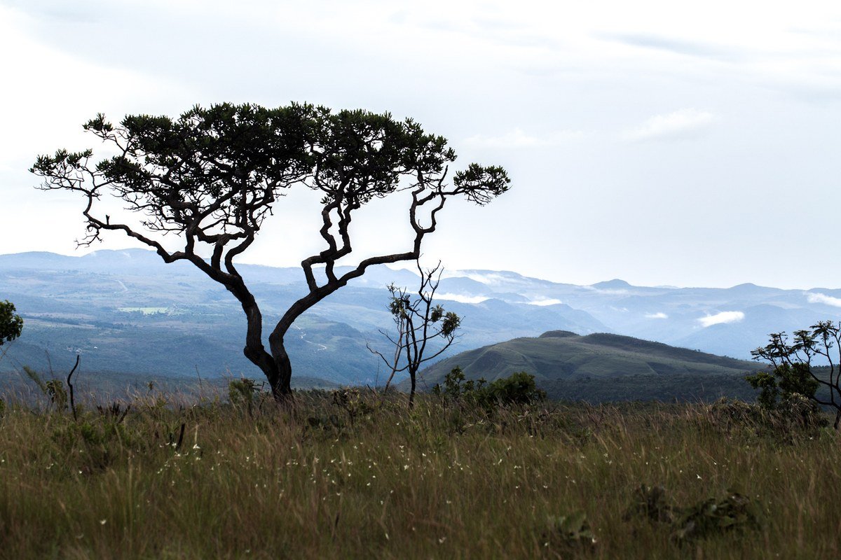 Quando Ir à Chapada dos Veadeiros: Época de Chuva vs. Época de Seca